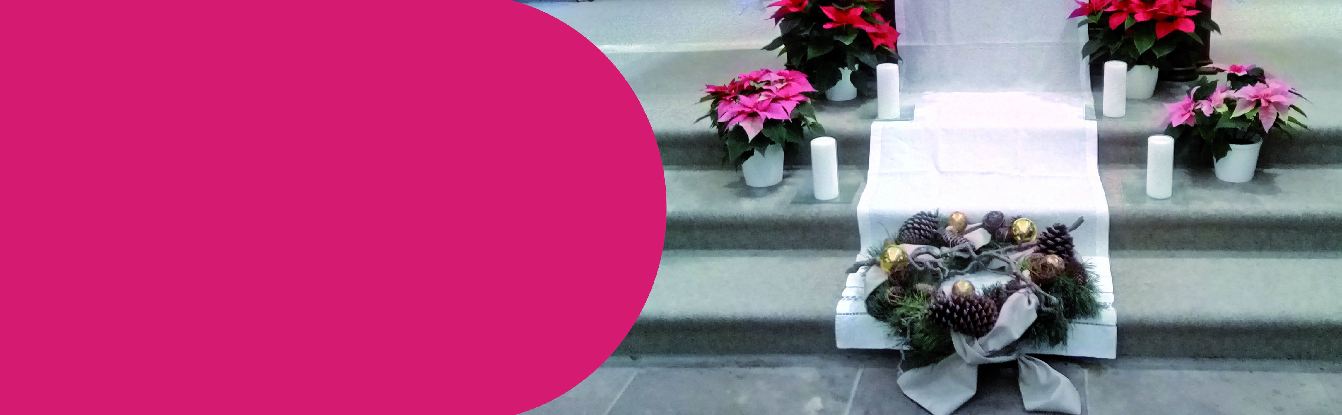 Fiche "Fleurir pour le temps de l'Avent"